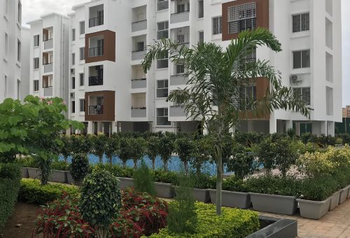 Nexterra Phase II